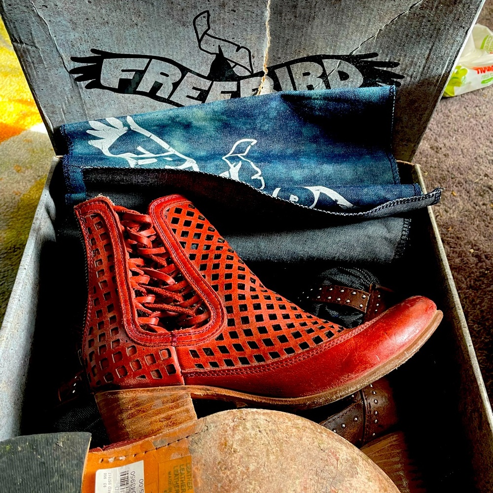 Free Bird ankle boots